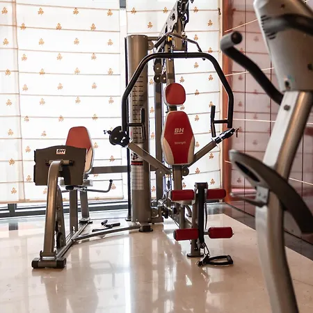 巴达霍斯中心酒店 4*